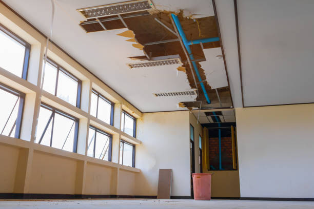 Best Professional water damage repair  in Beach City, TX