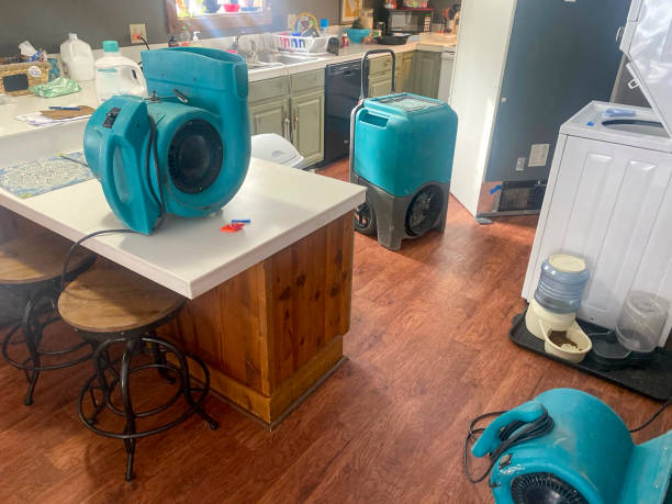 Best 24-hour water damage restoration  in Beach City, TX